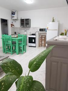 una cocina con mesa, sillas y una planta en Pai Pajarito en Corrientes