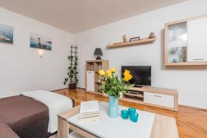 TV a/nebo společenská místnost v ubytování Apartment Marty