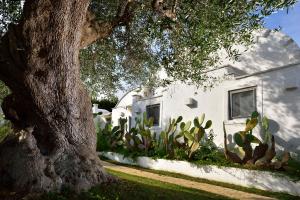 Zahrada ubytování B&B Trullo Barbagiullo