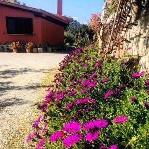 Giardino di Agriturismo Su Barraccu