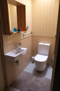 a bathroom with a white toilet and a sink at Quinta dos Baldo in Freixo de Espada à Cinta