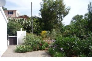 a garden with flowers and plants in a house at Villa Colle Lido by Agenzia SolturElba in Capoliveri