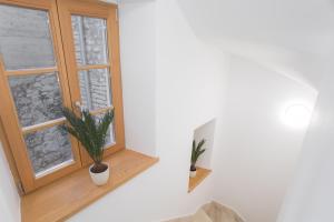 Fotografie z fotogalerie ubytování Rooms Kala v Šibeniku