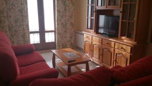 een woonkamer met een tv en een bank en een tafel bij Apartamento Casa Go in Torla