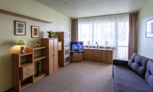 a living room with a couch and a television at Gerda Apartments in Druskininkai