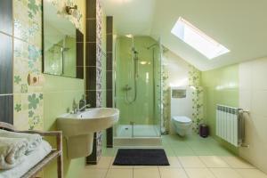 a bathroom with a sink and a shower and a toilet at Willa Uroki Spisza in Łapsze Niżne