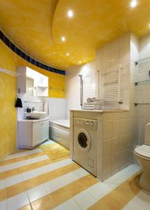 a bathroom with a toilet sink and a washing machine at Gerda Apartments in Druskininkai +29 photos