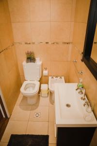 a bathroom with a toilet and a sink at La Casa de Bulnes in Buenos Aires +136 photos