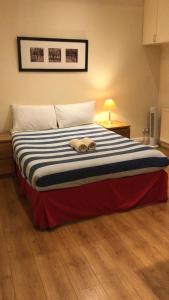 倫敦的住宿－海德公園客房公寓，躺在房间里床上的泰迪熊