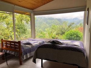 two beds in a room with a large window at Salento Finca Hotel Mundo Nuevo in Salento