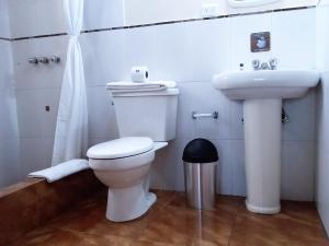 Koupelna v ubytování Hostal El Roble + 28 fotografií