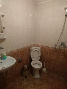 a bathroom with a toilet and a sink at Guest house Emmy in Trigrad