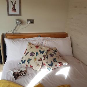 Postel nebo postele na pokoji v ubytování Dingle Way Glamping Annascaul