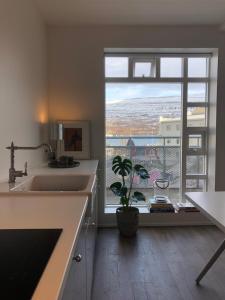 a kitchen with a sink and a large window at Day Dream Kaupvangsstræti 19 in Akureyri