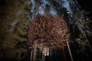 Φωτογραφία από το άλμπουμ του Treehotel σε Harads