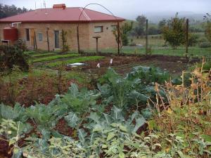 Cherry Top Farmstay - Boutique Eco Village外面的花园