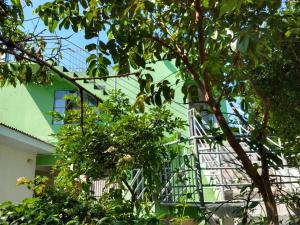 a green building with a spiral staircase next to a tree at Sobrado Terezinha in Foz do Iguaçu