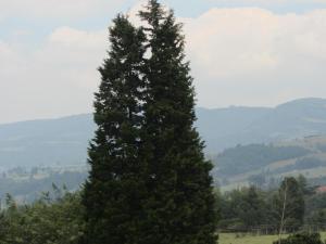 Příroda nedaleko penzionu – hostince