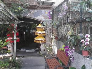 異國風情民宿（天堂·峇里） 室外花園