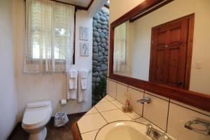 a bathroom with a toilet and a sink and a mirror at Tierra Magica B&B and Art Studio in San José