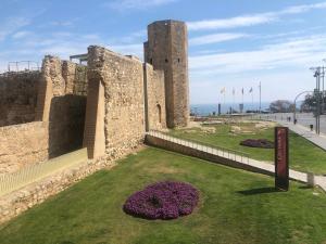 a castle with a bunch of flowers in front of it at Roman Circus views Apartment in Tarragona