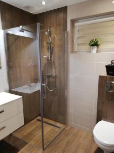 a bathroom with a shower and a toilet and a sink at Apartamenty Jaworzynka in Jaworzynka