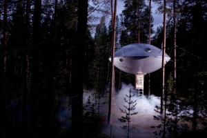an ufo is hanging in a forest at Treehotel in Harads