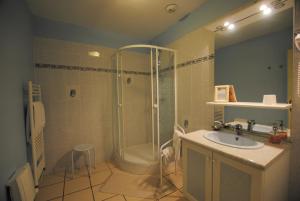 a bathroom with a shower and a sink at La Janenquelle in Sarry +31 photos
