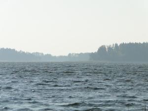 Zdjęcie z galerii obiektu Stajnia Lisewo w mieście Lisewo