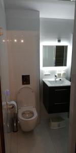 łazienka z toaletą i umywalką w obiekcie Domek na szlaku Rysianka Beskidy w mieście Złatna