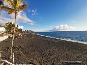uma praia com uma palmeira e o oceano em Apartamento Candil em Puerto Naos