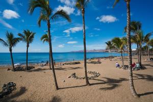 Leute an einem Strand mit Palmen und dem Meer in der Unterkunft Vivienda Tauro in Puerto del Carmen