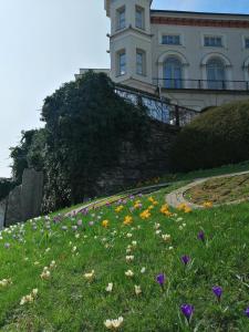 a field of flowers in front of a building at Apartamenty KDN in Bielsko-Biała