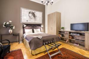 a bedroom with a bed and a flat screen tv at Da Vinci Art Home in Budapest