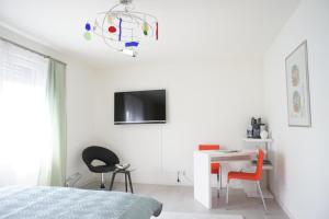 TV a/nebo společenská místnost v ubytování Ferienwohnung Lörrach
