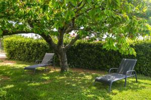dwa krzesła siedzące pod drzewem w trawie w obiekcie Elvira w Medulinie