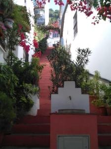 eine rot-weiße Treppe mit Blumen und Pflanzen in der Unterkunft CASA EL CALLEJON DE BENAMAHOMA in Benamahoma