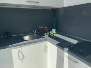 Kuchyň nebo kuchyňský kout v ubytování Modern Apartments Day
