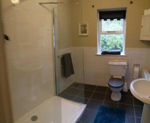 a bathroom with a shower and a toilet and a sink at Watersedge in Mulranny