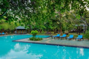 een zwembad met blauwe stoelen en een prieel bij Hotel Elephant Reach in Yala
