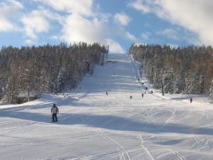 Hotel Stoichart v zimě