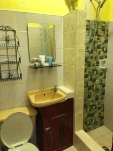 a bathroom with a toilet and a sink and a shower at Home Style Accommodations in Botolan