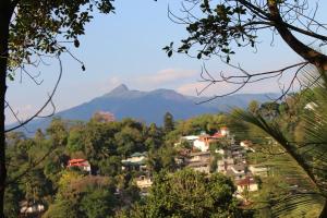 Paesaggio naturale nelle vicinanze della stanza in casa privata