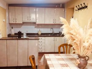 a kitchen with white cabinets and a table with a plant at La Alpargateria in Villafranca-Montes de Oca