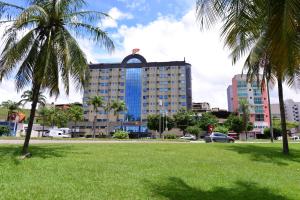 a building with a palm tree in a park at Panorama Tower Hotel in Ipatinga