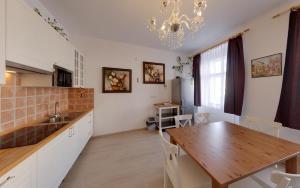Kuchyň nebo kuchyňský kout v ubytování Apartmány Tábor