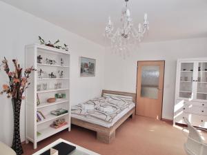 Foto dalla galleria di Apartmány Tábor a Tábor