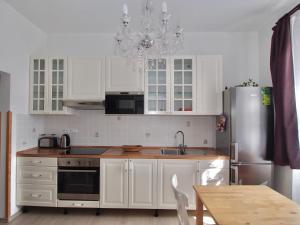Kuchyň nebo kuchyňský kout v ubytování Apartmány Tábor