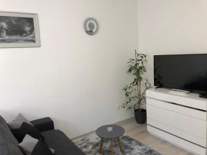 Televízia a/alebo spoločenská miestnosť v ubytovaní Marea Apartments
