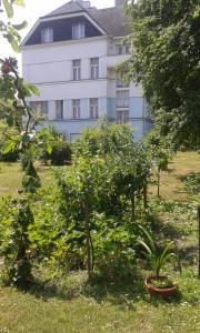 Zahrada ubytování EKO-penzion Hamry